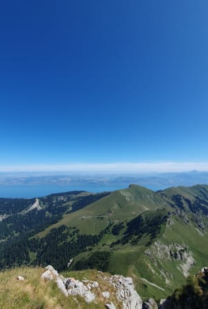 Wandeling op de Dent d’Oche en magisch panorama van het Meer van Genève - La Fétiuère, Bernex - 4