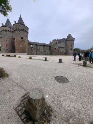 Rondleiding door het vogelreservaat Chateau de Suscinio - Kermoizan, Sarzeau - 9
