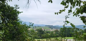 Balade autour d'Ainhoa - Ainhoa - 8