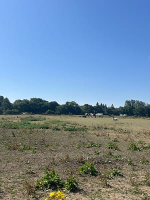 La vallée du ruisseau du Parfond du Gouet - Plérin - 7
