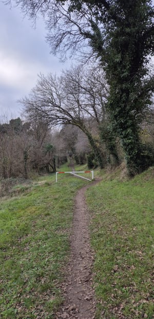 Promenade de fleac à l'écluse de thouerat. - Fléac - 7
