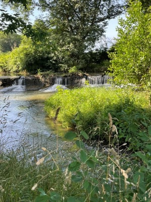 Bois d'Angaïs - Angaïs - 4