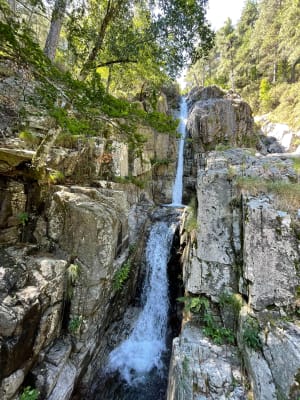 Les pierres plates via la bergerie de tolla - Vivario - 2