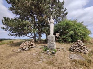 Vierge du lac Pareloup - Salles-Curan - 22