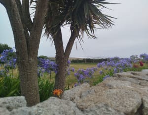 Grand tour de l'île de Batz et beauté de ses plages - Île de Batz - 44