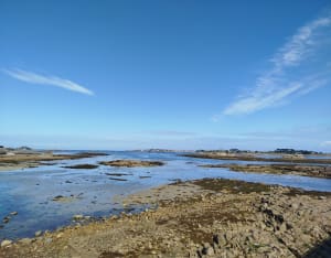 Grand tour de l'île de Batz et beauté de ses plages - Île de Batz - 46