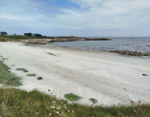Grand tour de l'île de Batz et beauté de ses plages - Île de Batz - 47