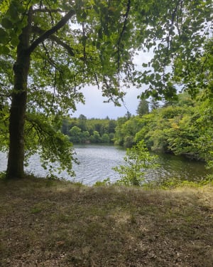 Les Sauvages et St Psaumet - Saint-Sylvestre - 6