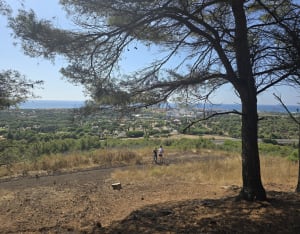 Tour de l'ancien phare du Mont Saint-Loup - Agde - 9