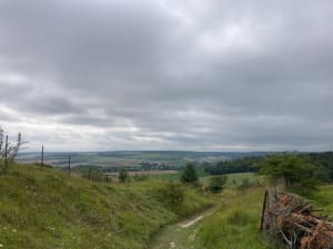Balade à Tournehem-sur-la-Hem et beau panorama champêtre - Tournehem-sur-la-Hem - 12