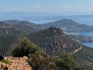 Kleurrijke wandeling naar de Col en Pic du Cap Roux - Saint-Raphaël - 17