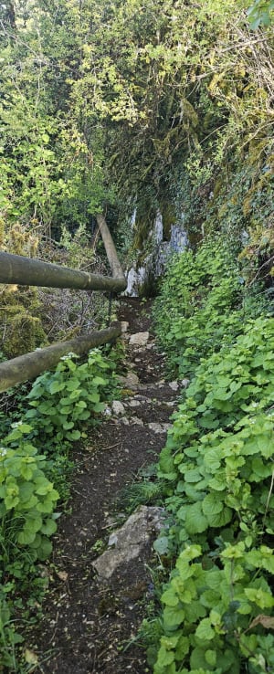 Belvédère du barrage de Vouglans - Nathalie - 11