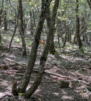 Joli tour sur le plateau d'Eyzahut par le trou du Furet - Eyzahut - 11