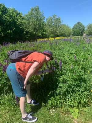 Balade dans les chemins de Fourne en Weppes - Fournes-en-Weppes - 9