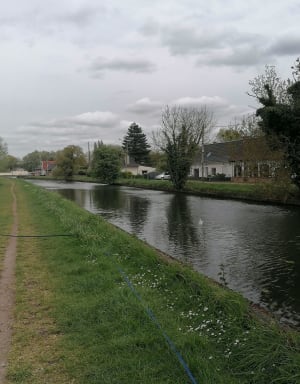 Beuvry belle balade au bord de l'eau et en sous bois - Beuvry - 8