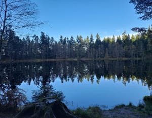 Lac de la Maix - parcours facile - Luvigny - 6