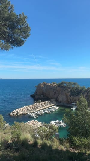 Sur les quais du port de la Redonne et merveilleuses calanques - Carry-le-Rouet - 11