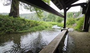 Livet sur Authou - Moulin et lavoirs - Livet-sur-Authou - 10
