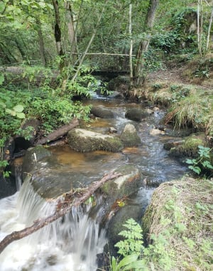 Cascades du grand et du petit Gornand depuis Saint-Hippolyte - Châtel-Guyon - 8
