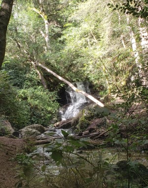 Cascades du grand et du petit Gornand depuis Saint-Hippolyte - Châtel-Guyon - 10