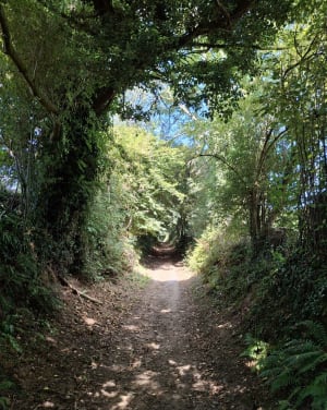 Rando du Mingrey, depuis Saint-Gilles - Saint-Gilles - 8