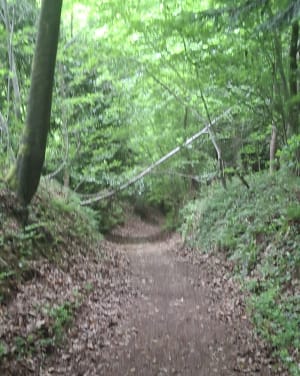 Découverte entre Seine et forêt - Bernadette - 2