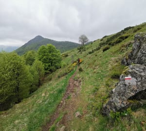 Ascension au Puy de l'Usclade et sa superbe vue - Mandailles-Saint-Julien - 7