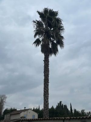 Balade en ceinture verte d'Avignon en VTC - Avignon - 13