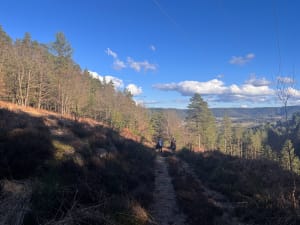 Brouvelieures par la montée du prêtre. - Brouvelieures - 2