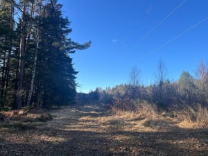 Brouvelieures par la montée du prêtre. - Brouvelieures - 4