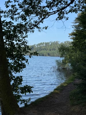 Pierre Percée-meer - Pierre-Percée - 24
