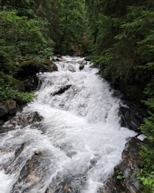 Balade à la Cascade de la Muzelle - Les Deux Alpes - 12