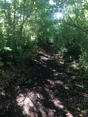 Le terril de Germignies, et Bassins de Lagunage - Lallaing - 6