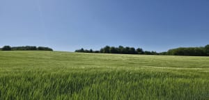 Balade à Chaponnay et Bois de Sarvanay - Chaponnay - 9