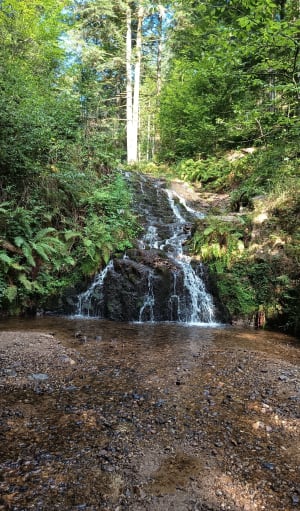 Balade à la Cascade de Faymont - Philippe - 6