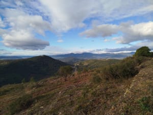 Le Mont Peyroux et le Puech de la Suque - VIRGINIE - 5