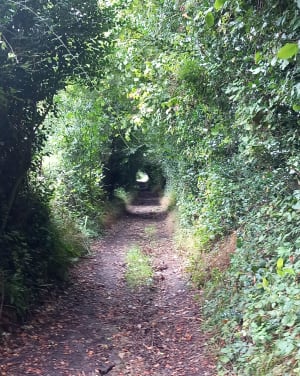 Le chemin du Gué de la Salle - Freneuse-sur-Risle - 28
