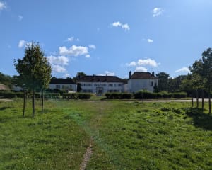 Randonnée dans la forêt domaniale de Sénart - Brunoy - 9