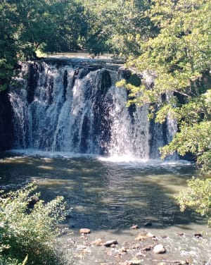 Découverte de la cascade de Saillant depuis Saint-Nectaire - CHRISTOPHE - 2