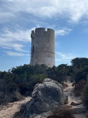 La tour d'Olmeto - Monacia-d'Aullène - 9
