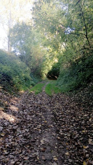 Par les vieux chemins de Valenciennes - Quérénaing - 18
