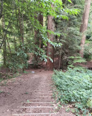 Autour de l'arboretum de la Jonchère - La Jonchère-Saint-Maurice - 7