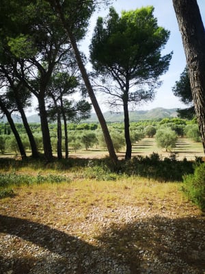 De Trincades en de Blauwe Lagune van Maussane-les-Alpilles - Maussane-les-Alpilles - 80