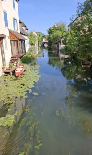 Vite, prendre le temps de se faire plaisir à Chartres ! - Chartres - 6