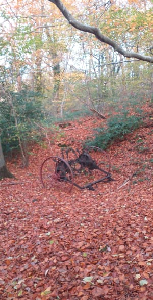 Chemin des faneuses à Condé-sur-Risle - Condé-sur-Risle - 5