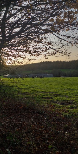 Chemin des faneuses à Condé-sur-Risle - Condé-sur-Risle - 8