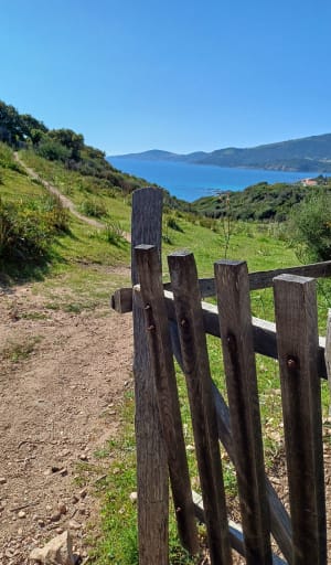 Balade du Triu site naturel protégé - Vico - 15
