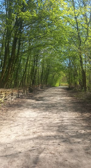 Découverte du Parc Naturel de Lomme et son écrin de verdure - Lomme - 4
