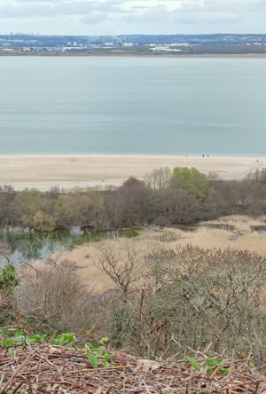 Honfleur et ses hauteurs - Équemauville - 21