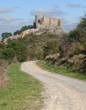 Forteresse de Couzan et bain de nature dans la Loire - Sail-sous-Couzan - 5